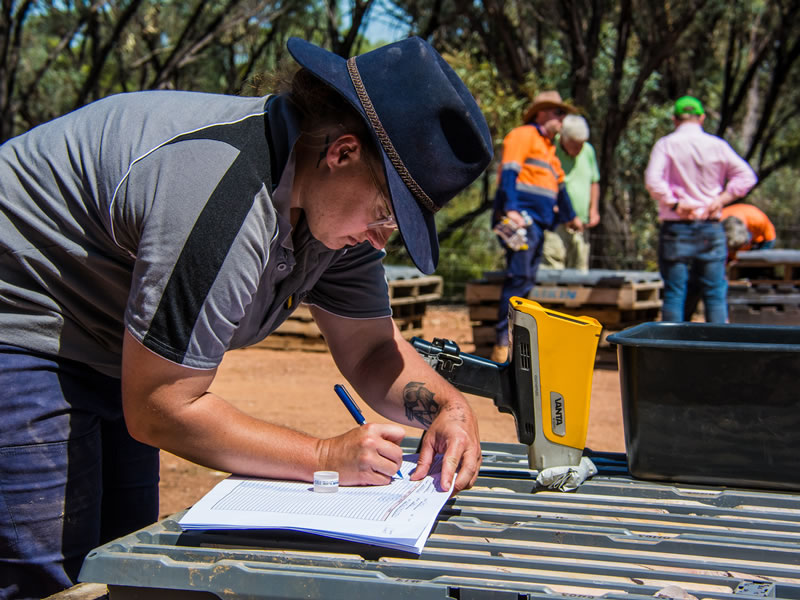 Geologists at work in WGL's core storage area near Wedderburn.