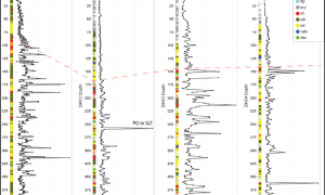 Figure: PGN Geoscience image – Downhole plots of the 8 lithology groups (see colour coded legend insert) with mean magnetic susceptibility values per interval.