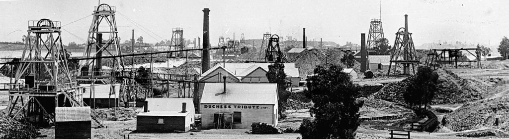 Northern end of of the Bendigo Goldfield looking south circa 1895.