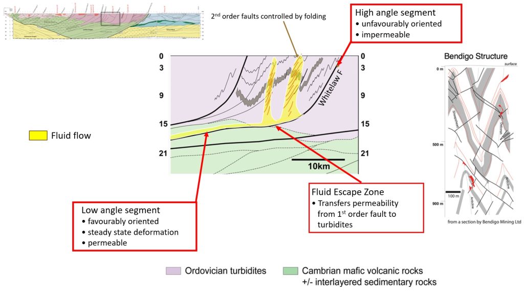 11 - FLUID PATHWAYS